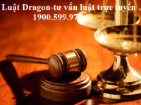 bộ luật hình sự 1991