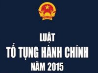 luat to tung hanh chinh 2015