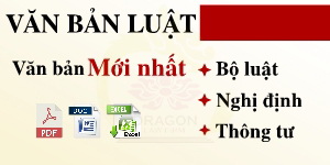 van ban luat 300