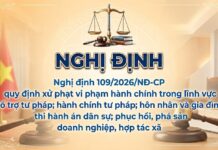 Có nên trao Thẩm quyền xử phạt vi phạm hành chính của Chủ tịch Ủy ban nhân dân các cấp