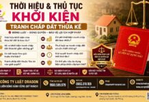 Thời hiệu và thủ tục khởi kiện tranh chấp đất thừa kế: 8 vấn đề pháp lý quan trọng người dân cần biết