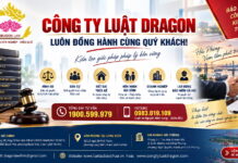 Công ty Luật Dragon – Đồng hành cùng khách hàng tại Hải Phòng