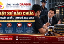 Luật sư bào chữa cho người bị bắt, tạm giữ, tạm giam