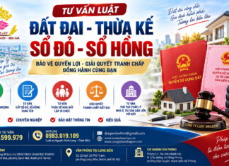 Công ty Luật Dragon – Tư vấn luật đất đai, thừa kế, sổ đỏ, sổ hồng