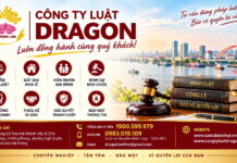 Công ty luật Hải Phòng uy tín – Công ty Luật Dragon đồng hành bảo vệ quyền và lợi ích hợp pháp