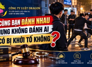 Đi cùng bạn đánh nhau nhưng không đánh ai, có bị khởi tố không?