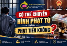 Có thể chuyển hình phạt tù thành phạt tiền không?