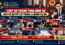 Luật sư tranh tụng trong các vụ án hình sự